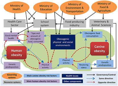 Application of the NEOH Framework for Self-Evaluation of One Health Elements of a Case-Study on Obesity in European Dogs and Dog-Owners